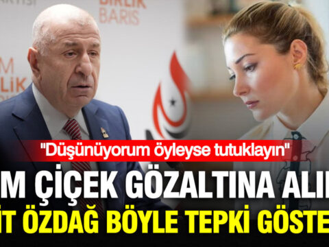 Haber gorseli